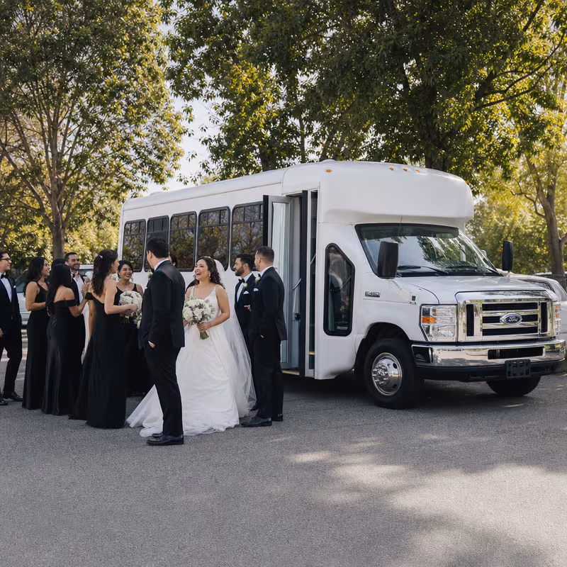 New Orleans Wedding Transportation fleet vehicle