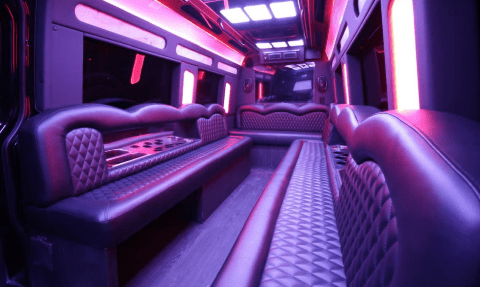 New Orleans 14 Passenger Sprinter Bus Interior